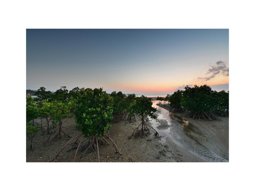 Oceanview Yui Hotell Ishigaki  Eksteriør bilde